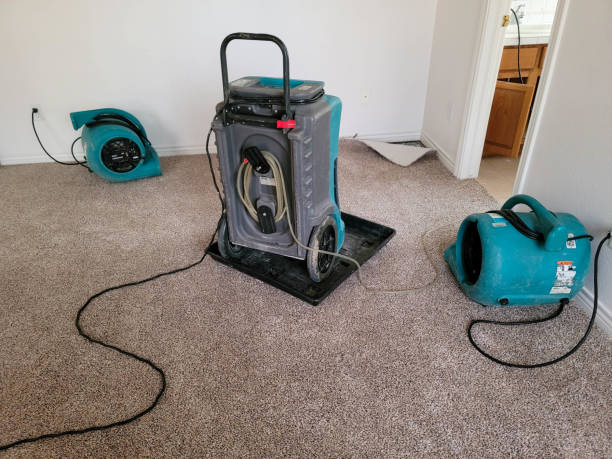 Best 24/7 water damage repair  in Farm Loop, AK