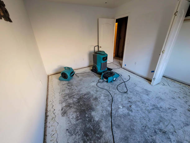 Best Carpet water damage restoration  in Farm Loop, AK