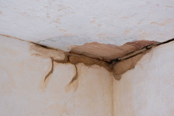 Best Residential water damage restoration  in Farm Loop, AK