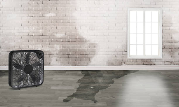 Professional Water damage restoration in AK