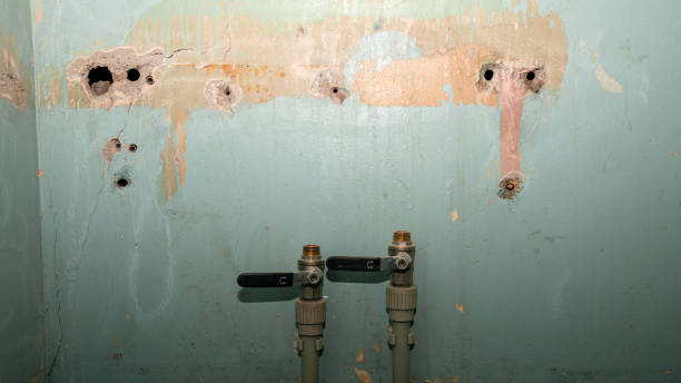 Best Water damage restoration near me  in Farm Loop, AK