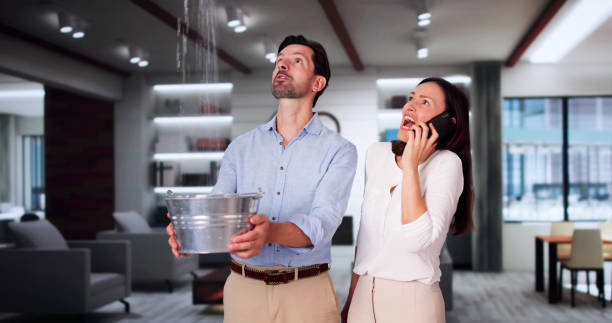Best Carpet water damage restoration  in Farm Loop, AK