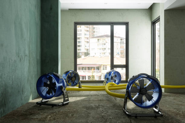 Best Water damage restoration near me  in Farm Loop, AK